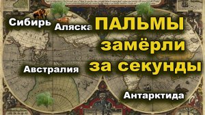 Сибирь. Аляска. Пальмы замёрзли за секунды