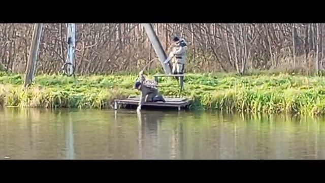 Щука 1 смотреть онлайн