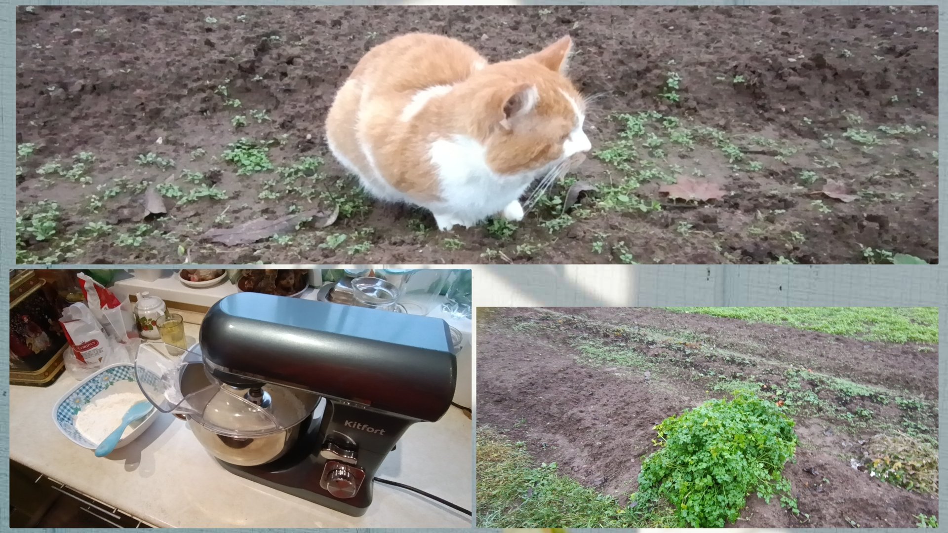 В гостях у мамы❤Компресс реально помогает 👍 смотреть онлайн