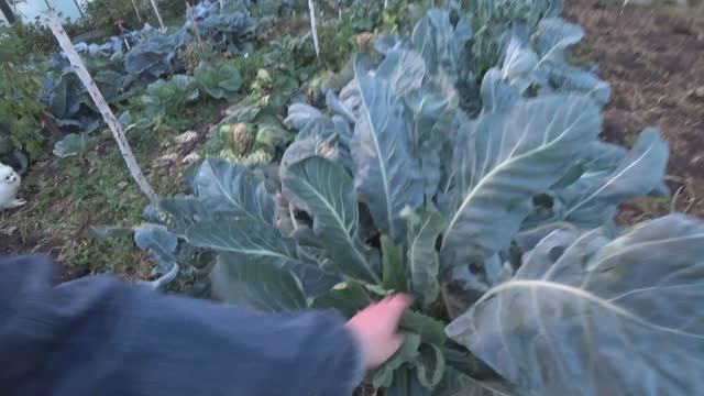 Влог от 07.09.2021 смотреть онлайн