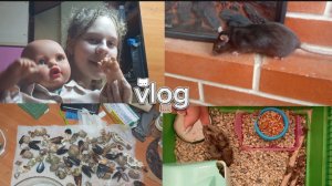 Влог/шопинг с Черри🐀, Лапулей🐹, реиборном Вовой 🤱