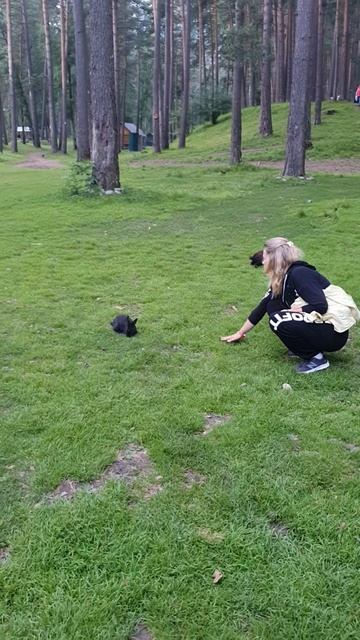 Алтай Катунь остров кроликов смотреть онлайн