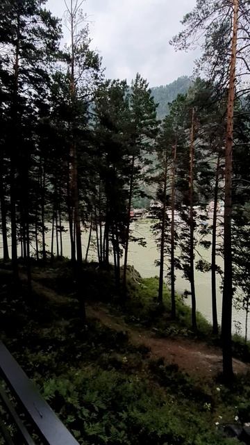 Рум тур Алтай смотреть онлайн