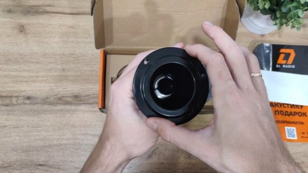 DL AUDIO Raven TW-03 V.2