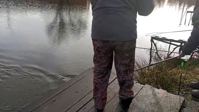 Форель 2 смотреть онлайн