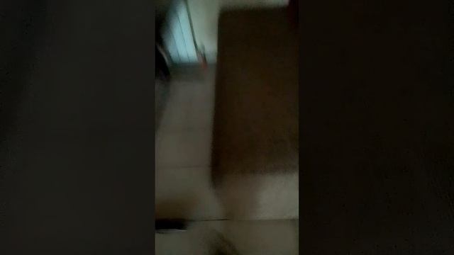 5 сезон 1 серия улица №2 (последний сезон истории) смотреть онлайн