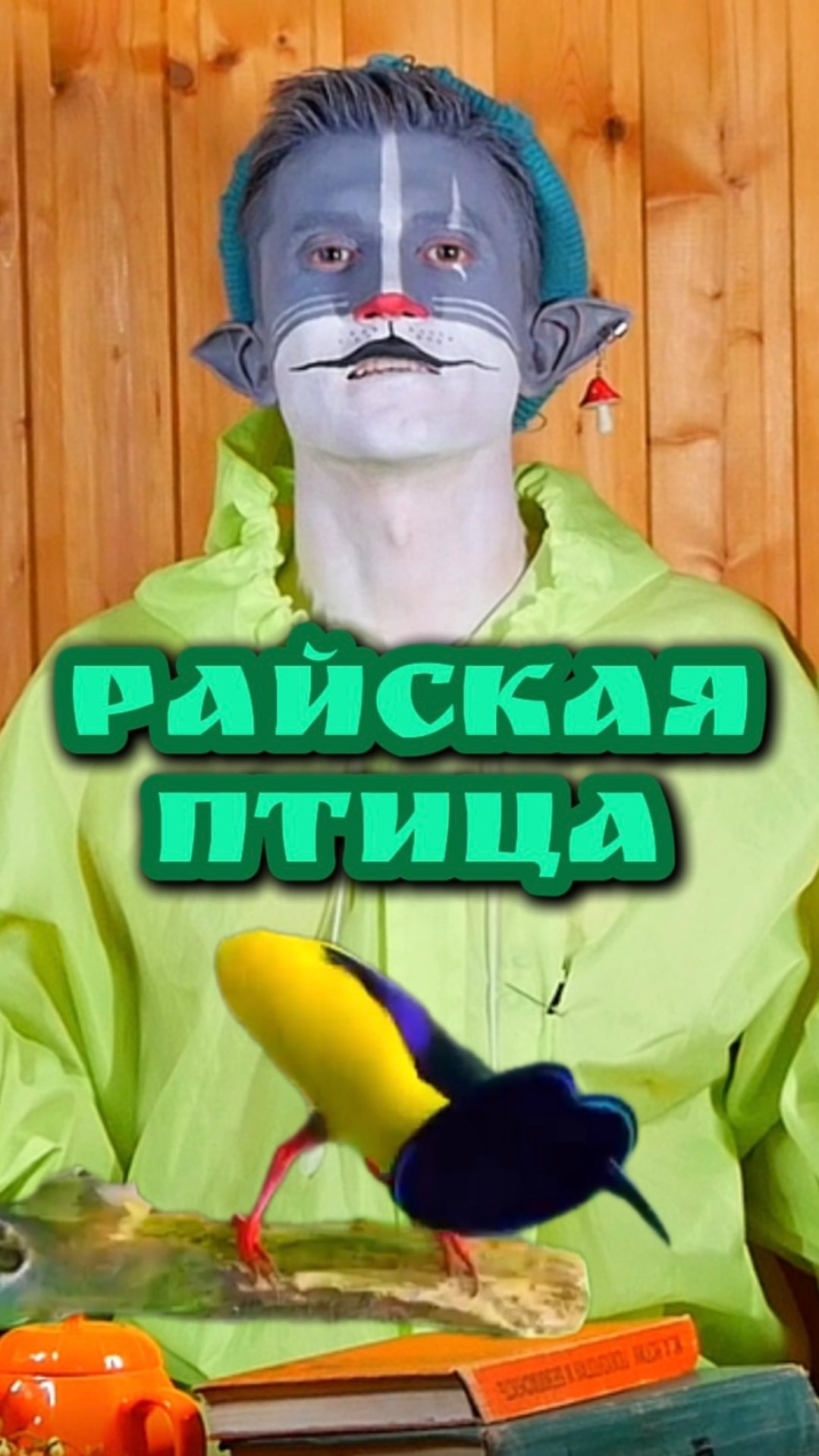 Кот Учёный и Райская птица 🐦 смотреть онлайн