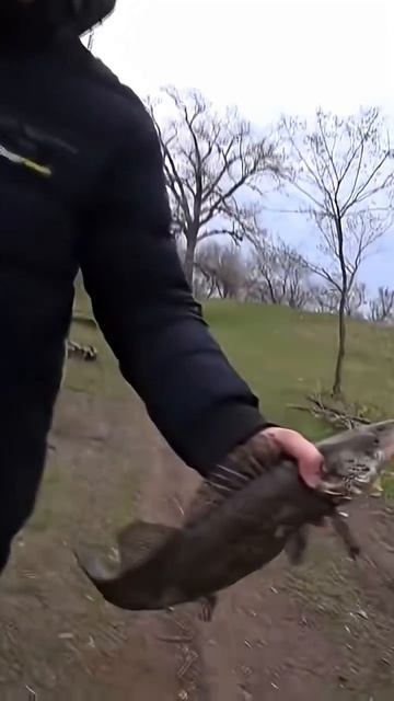 Узнали приманку? #спиннинг #блесна #shorts смотреть онлайн