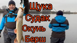 Ловля ЩУКИ СУДАКА ОКУНЯ поздней ОСЕНЬЮ на СПИННИНГ.