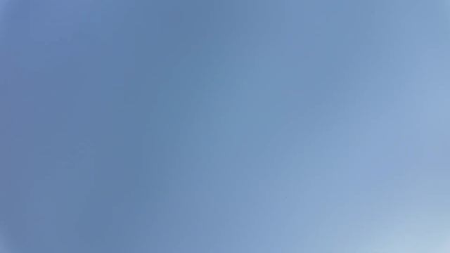 The elders hid this path смотреть онлайн