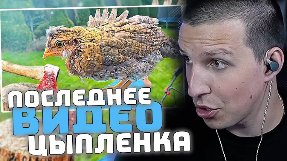 ПОСЛЕДНЕЕ ВИДЕО ЦЫПЛЕНКА РЭМБО | РЕАКЦИЯ МАЗЕЛЛОВА смотреть онлайн