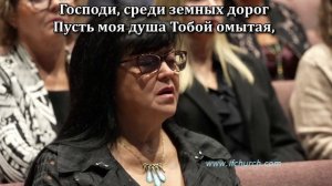 У дороги лилия цвела