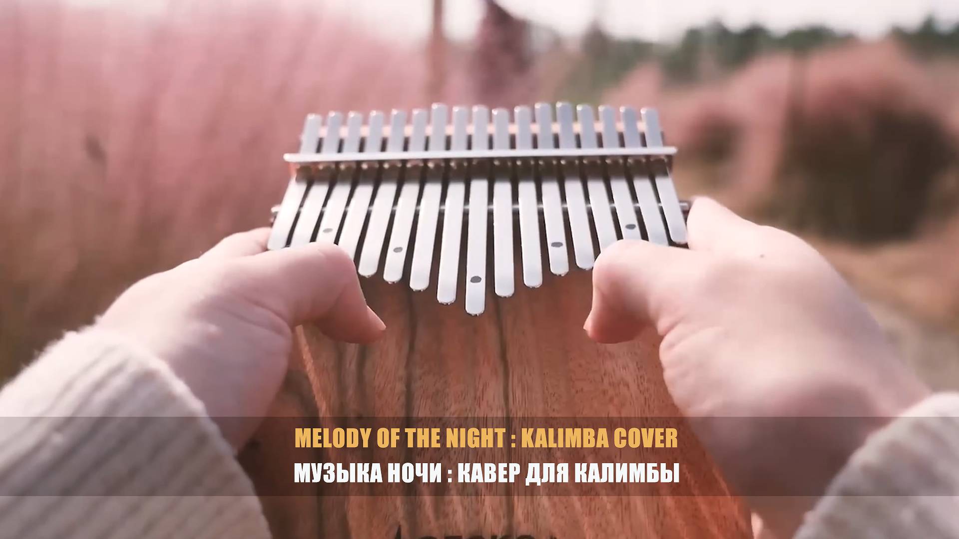 Игра на калимбе. «Melody of the Night», кавер-версия для 17-нотной требл-калимбы смотреть онлайн