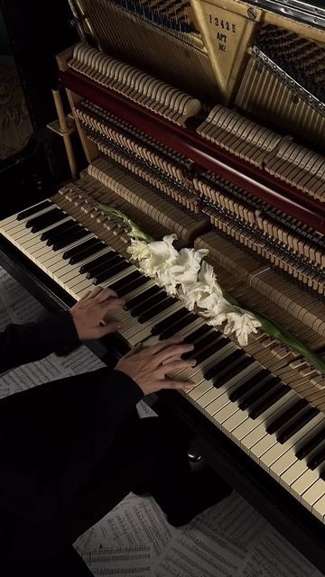 «Ezio's Family» from Assassin's Creed #aesthetic #piano #calm смотреть онлайн