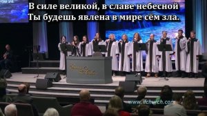 Бедная, бросаемая бурей
