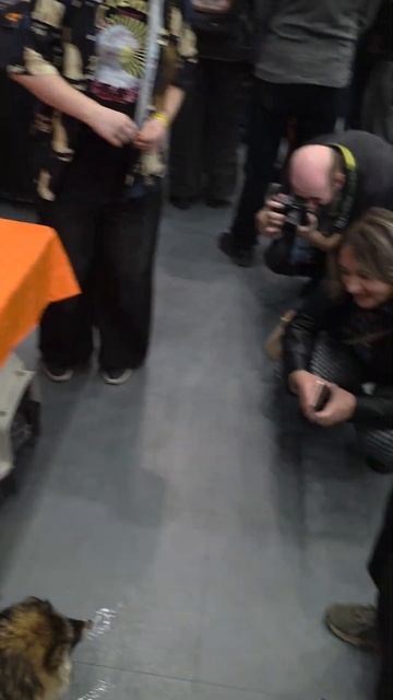 Twitch: EricMyval ОХРАНА ФУРРИ СТЕНДА смотреть онлайн