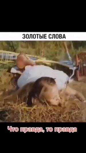 Все равно лучше