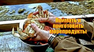 Поймать и приготовить морепродукты