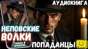 АУДИОКНИГА ПОПАДАНЕЦ: НЕПОВСКИЕ ВОЛКИ