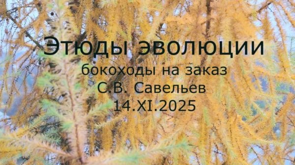 С.В. Савельев - Этюды эволюции. Бокоходы на заказ.