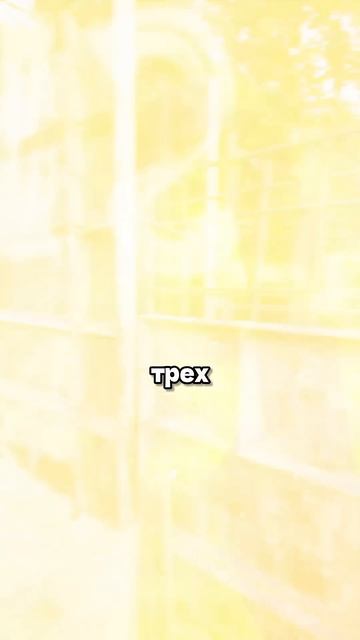 Стена 6 метров ПОД ЗЕМЛЕЙ!  Зачем?!