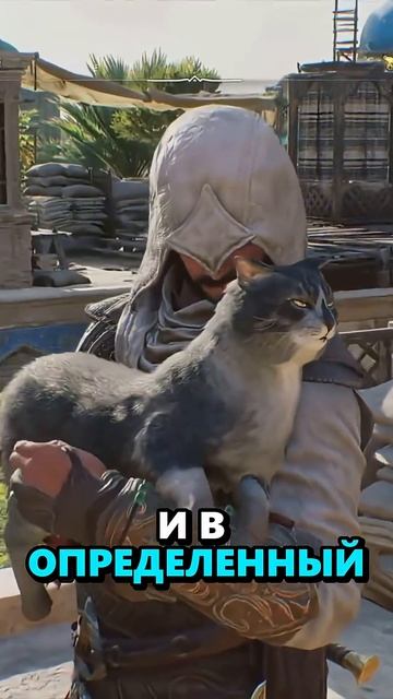 Ассасин и котики #игры #assassinscreed #sonnyk
