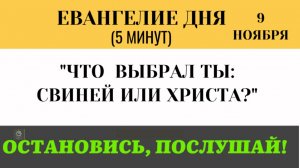 9 ноября Евангелие дня Почему жители города выбрали свиней, а не Христа (Лк8,26по39)5 минут