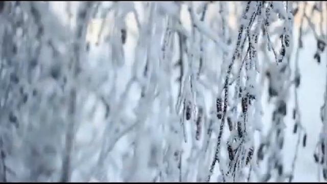 Сибирская зима_Зимние пейзажи рут