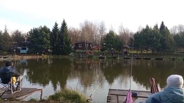 форель 7 смотреть онлайн