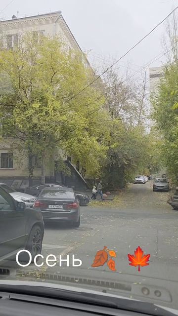 07-11-2025 #листья смотреть онлайн