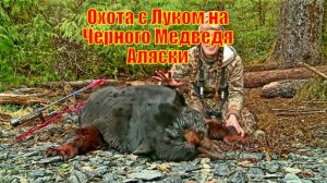 Охота с Луком на Черного Медведя Аляски
