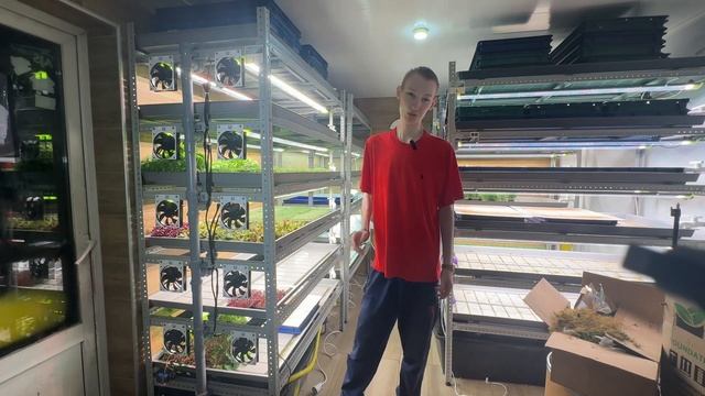 Как установить вентиляцию на стеллаж гидропоники?! Пошаговая инструкция! смотреть онлайн