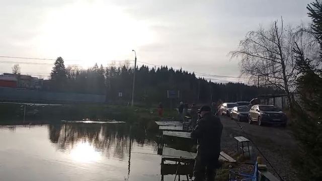 Форель 1 смотреть онлайн