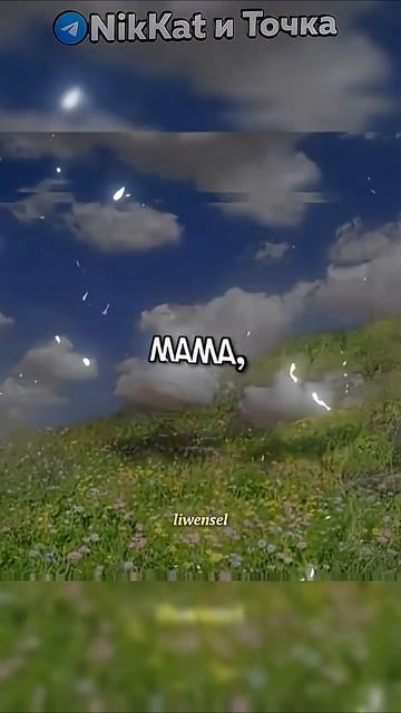 10 подписчиков, вайфай, мама я люблю... | Свежие Мемы TikTok в Shorts! #nikkat #мем #новости смотреть онлайн