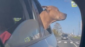 Грусть она такая...)