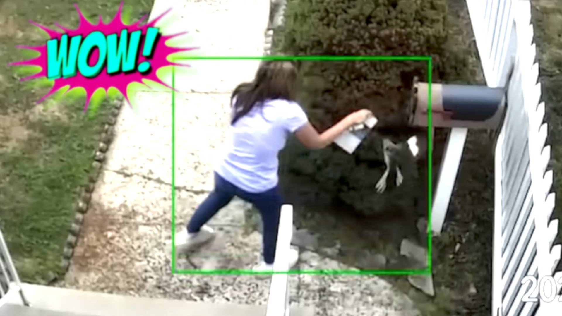 СМЕШНЫЕ ВИДЕО: ПРИКОЛЫ, КОТОРЫЕ ПОДНИМУТ НАСТРОЕНИЕ смотреть онлайн