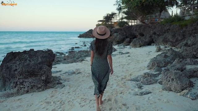 Davvi & DavDeep - I Loved You Once (Disco Vibes) смотреть онлайн