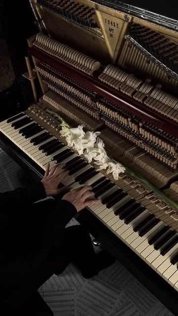ost Amelie ❤️ #aesthetic #piano #calm смотреть онлайн