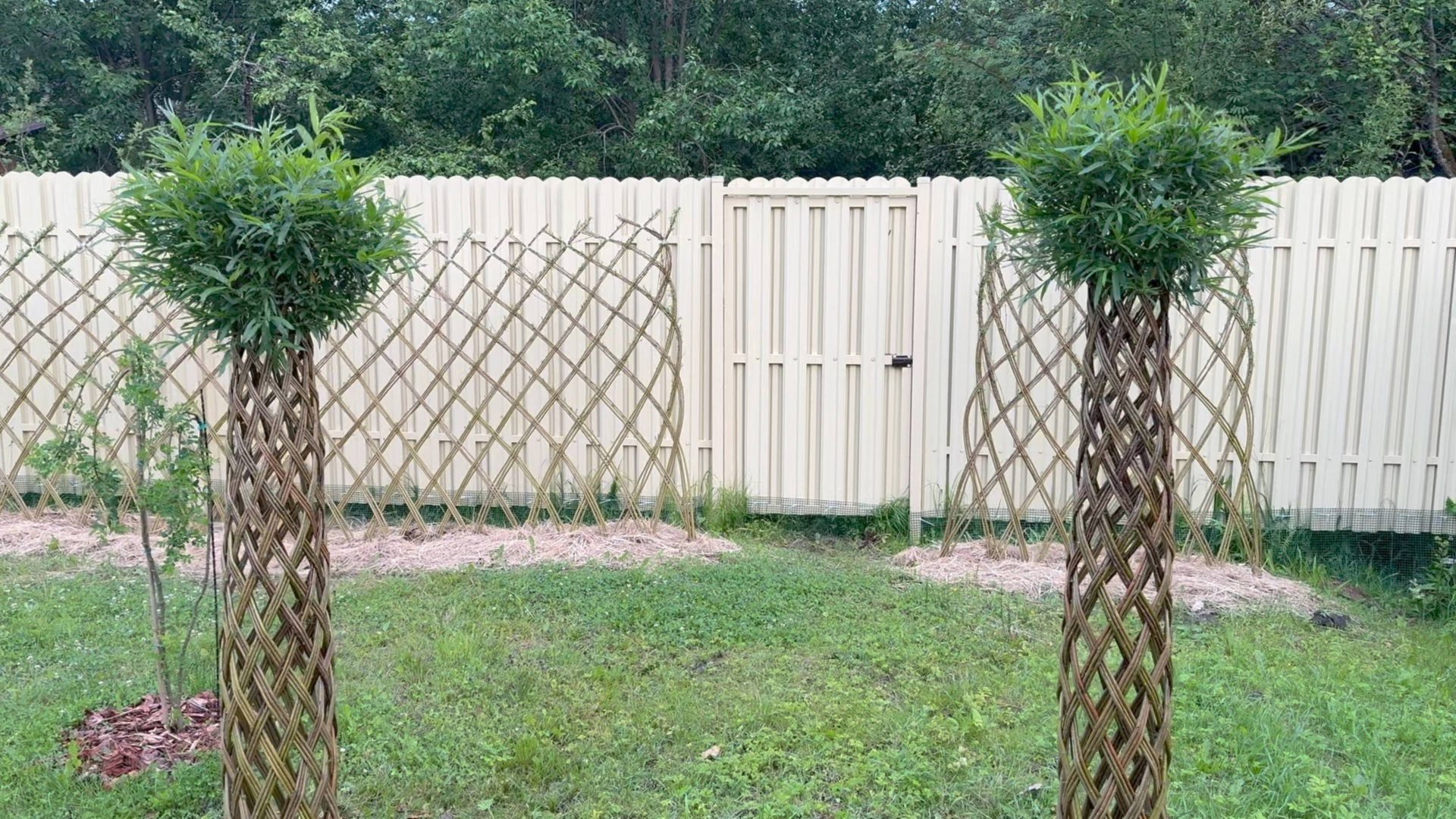 Сад Ивушка 7 июля 2025