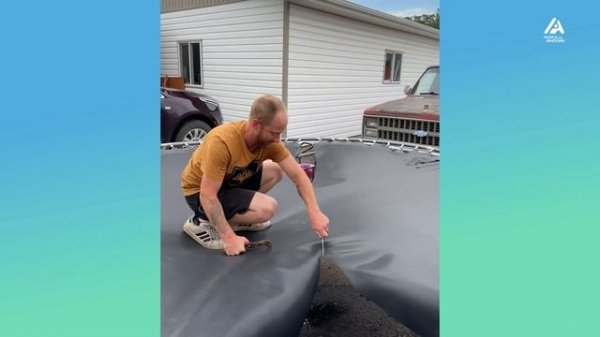 High Flying Wins Vs Fails