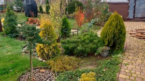 Дача не отпускает🙃Даже в ноябре есть работа🍂🍁🍂#дачныехлопоты