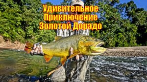 Удивительное Приключение Золотой Дорадо в Боливийских Джунглях Амазонки