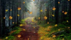 Грудин Сергей - Осень