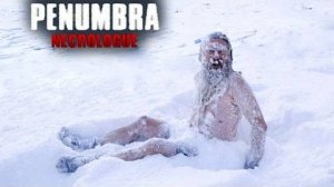 МНЕ ПРОХЛАДНО! - Penumbra Necrologue #10