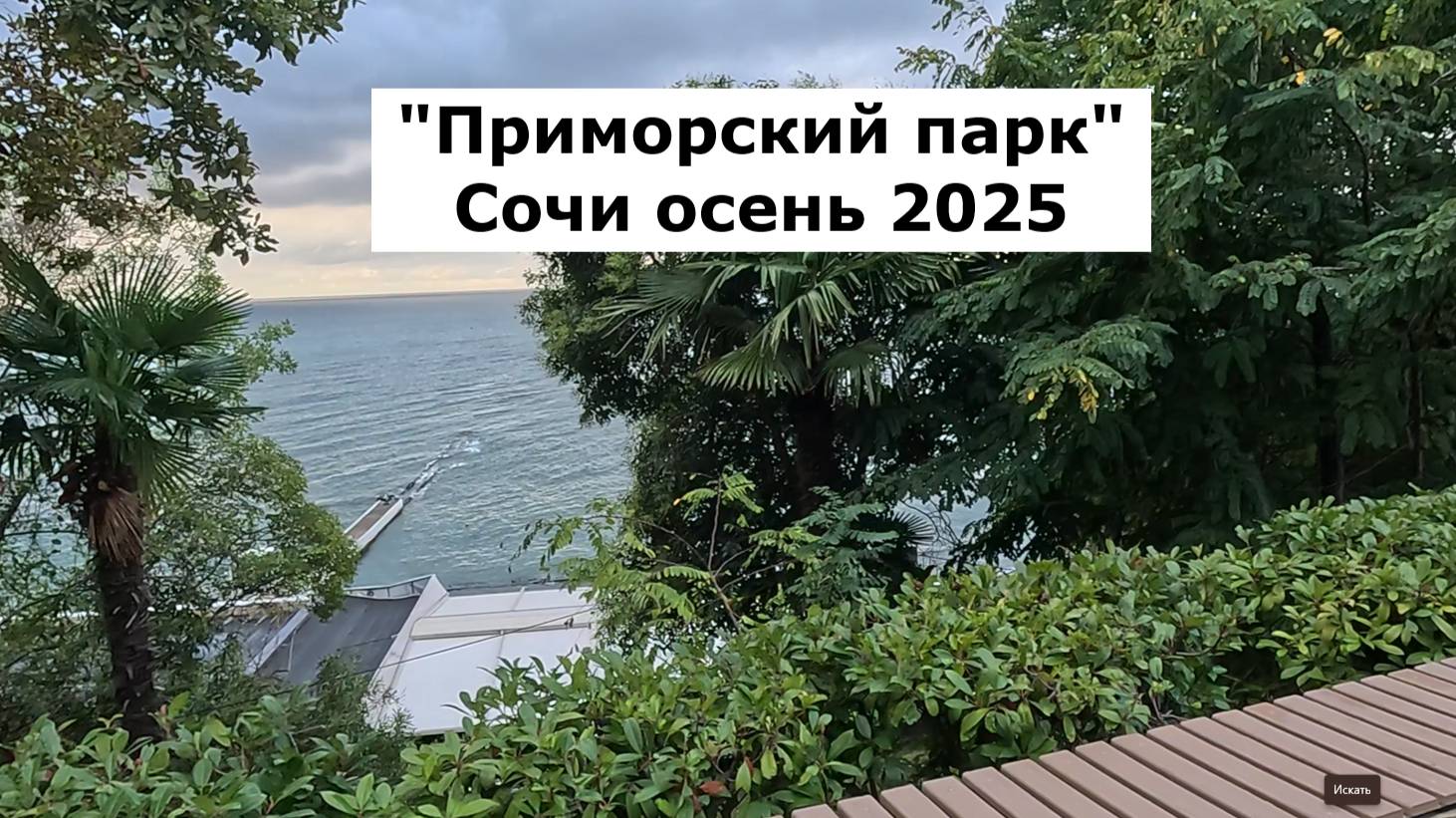 Прогулка Сочи. Осень 2025. Приморский парк