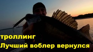 Салмо Вэки возвращается