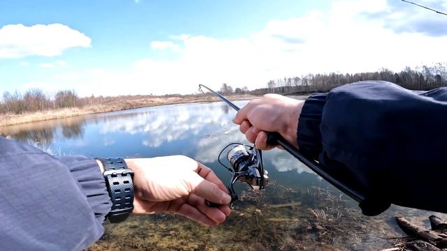 Они не дают проходу этому маленькому виброхвостику! смотреть онлайн