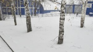 СНЯТО НА OPPO FIND X9 PRO (ПОСЛЕ ОБНОВЛЕНИЯ ПРОШИВКИ)