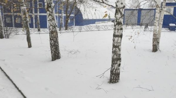 СНЯТО НА OPPO FIND X9 PRO (ПОСЛЕ ОБНОВЛЕНИЯ ПРОШИВКИ)