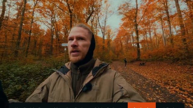 Аудиотест DJI Mic 3 смотреть онлайн